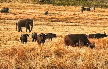 Savannah Adventures5