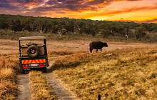 Savannah Adventures6