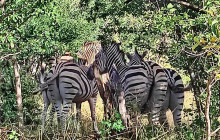 Savannah Adventures9