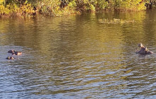 Savannah Adventures6