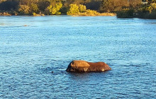 Savannah Adventures7