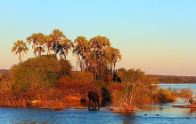 Savannah Adventures8