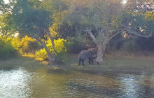 Savannah Adventures9