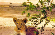 Savannah Adventures8