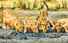 Savannah Adventures9