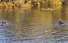 Savannah Adventures8