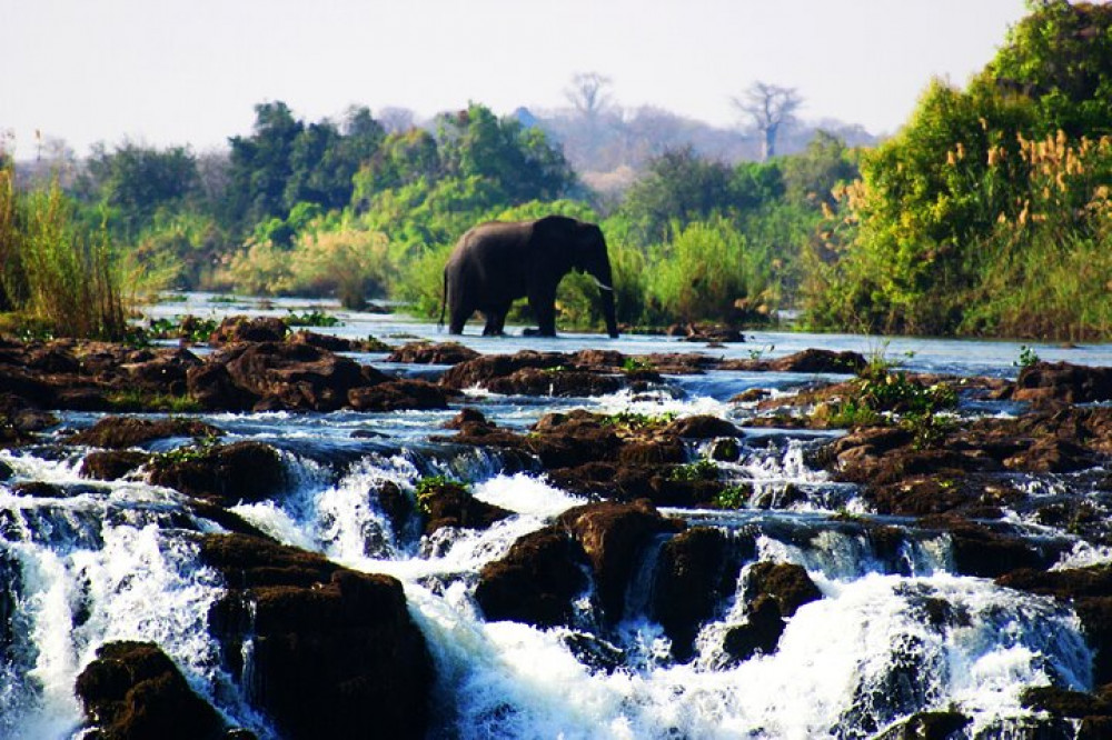 Guided Tour of the Zimbabwean Side Victoria Falls & Wildlife Safari