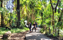 Savannah Adventures3