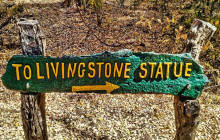 Savannah Adventures17