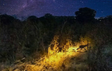 Savannah Adventures4