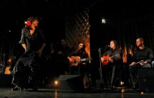 Exclusive Tapas And Flamenco Night