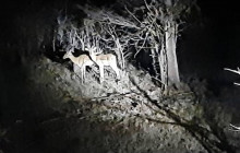 Savannah Adventures6