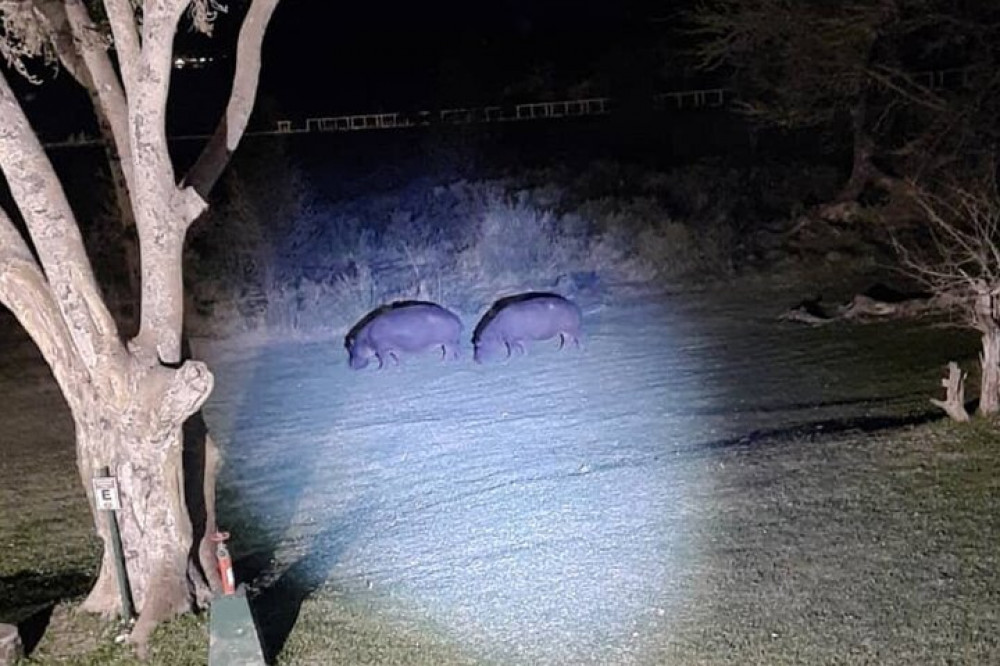 Private Bush Stargazing in Victoria Falls Area