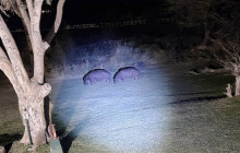 Savannah Adventures1