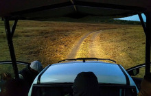 Savannah Adventures7