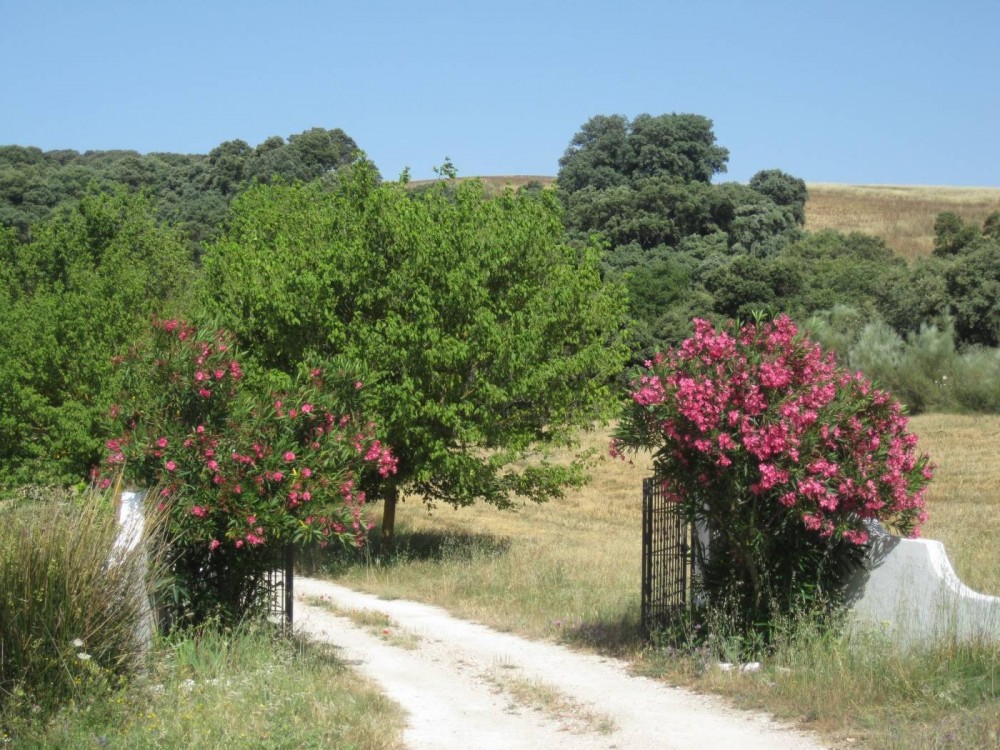 Small Group Hiking Day Trip From Seville