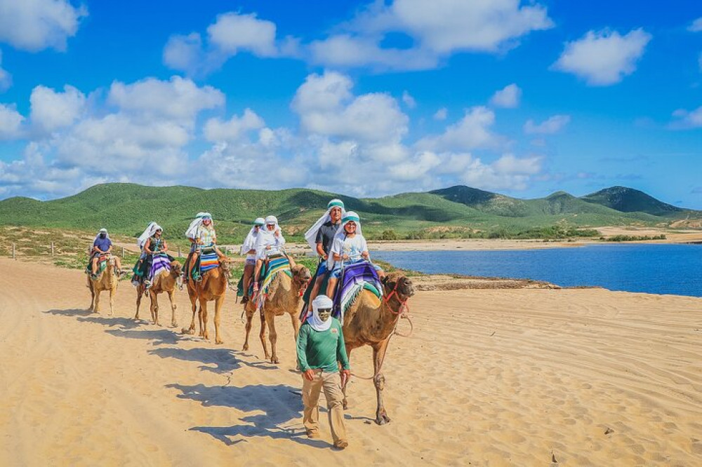 Camel Ride Experience in Los Cabos with Pick up and Lunch