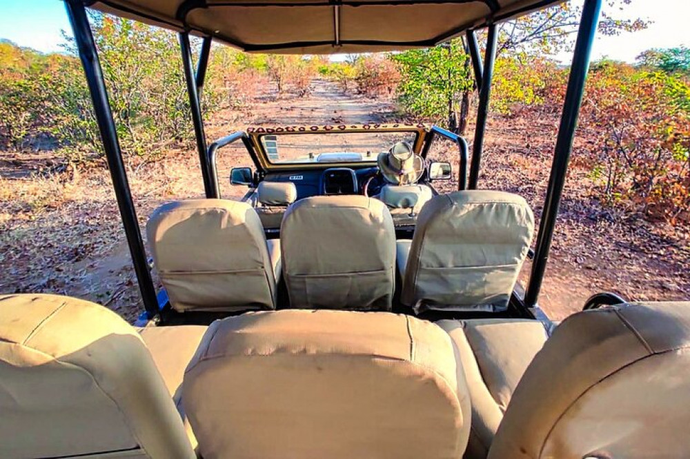 Guided 4x4 Town Safari In Victoria Falls