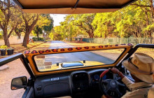 Savannah Adventures5