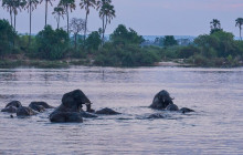 Savannah Adventures5