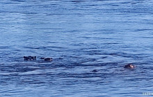 Savannah Adventures13