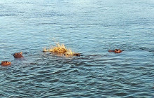 Savannah Adventures16