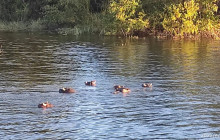 Savannah Adventures18