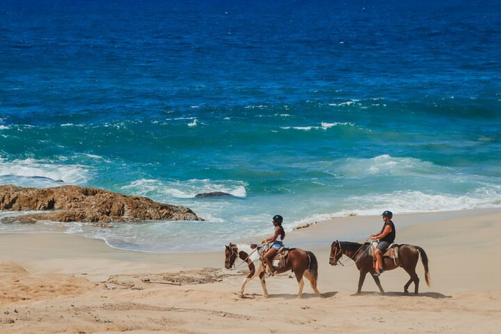 Desert and Beach Horseback Riding Experience in Cabo