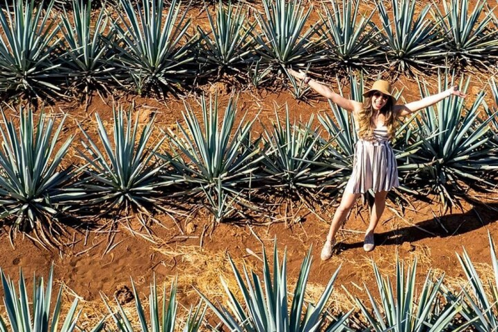 Private Adventure to El Tequileño Distillery and visit to Tequila