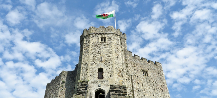 Tour of Cardiff including Cardiff Castle, St Fagan's Museum & Cardiff Bay