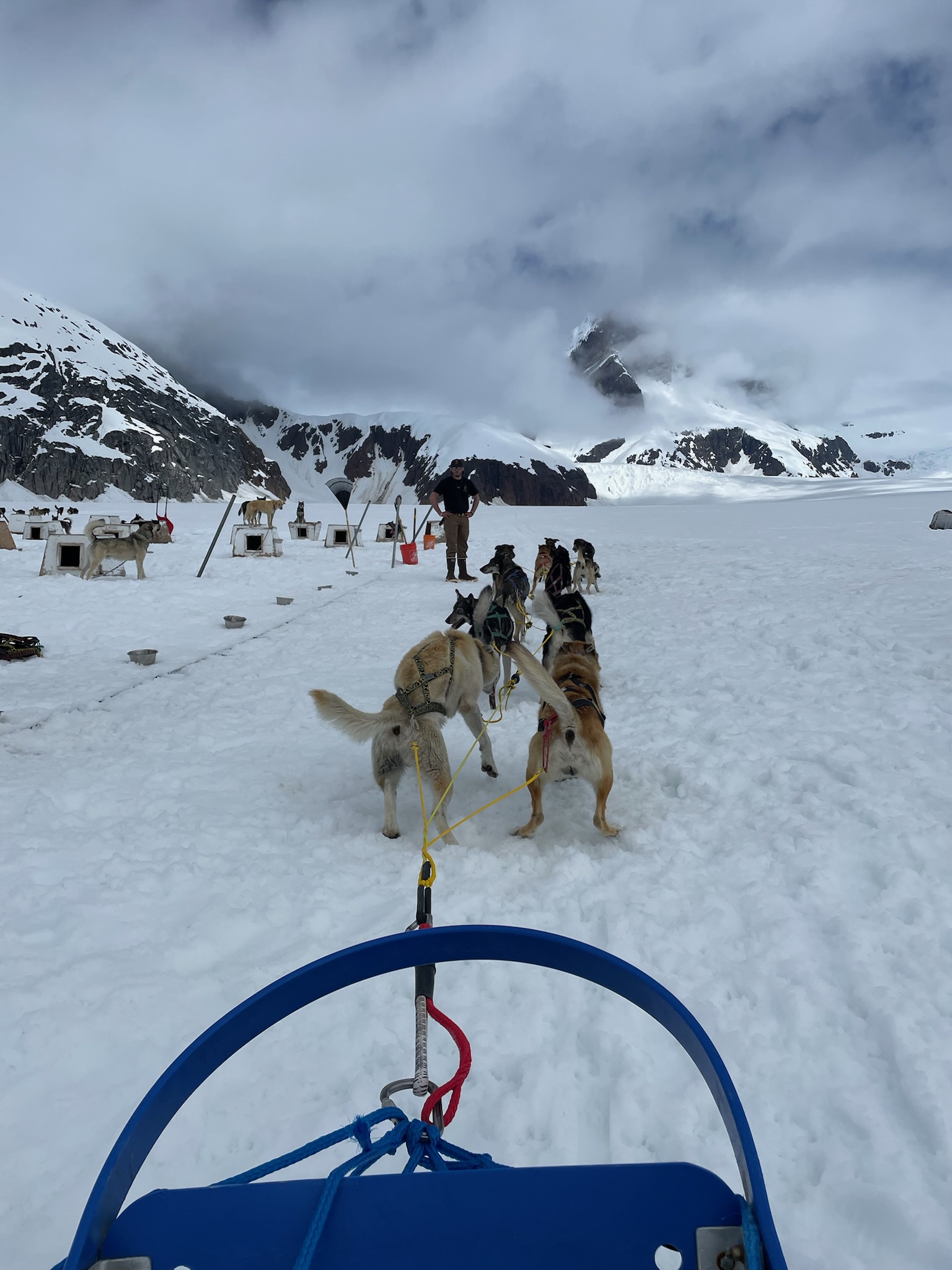 Dog Sledding + Helicopter Ride Shore Excursion - Juneau | Project