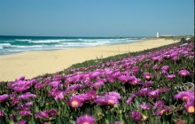 Small Group Andalusia's Best Beaches Day Trip From Seville