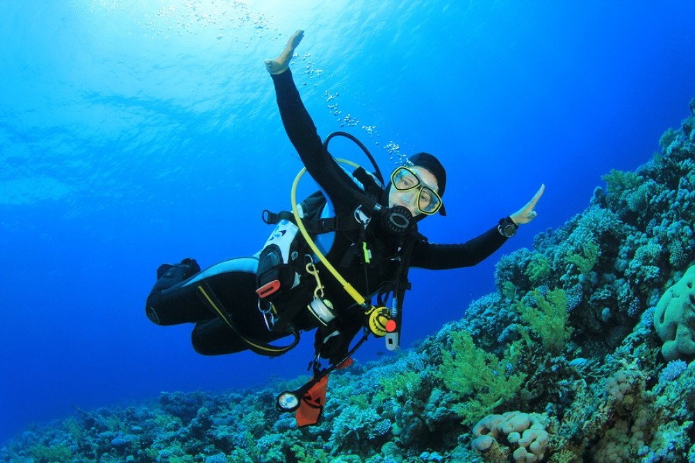 Small Group Tarifa Diving