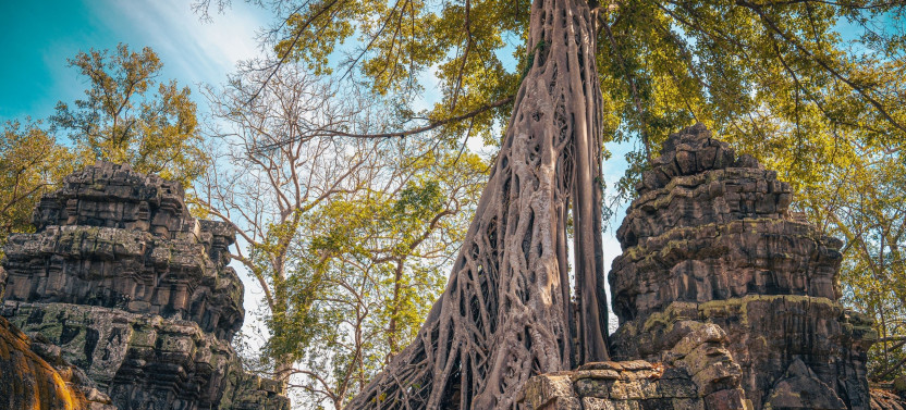 Small Group Siem Reap Full-Day Angkor Wat Temples & Food Tour