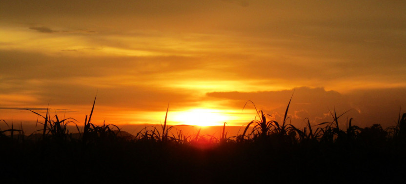Battambang Full Day Tour from Siem Reap with Bamboo Train and TukTuk Ride