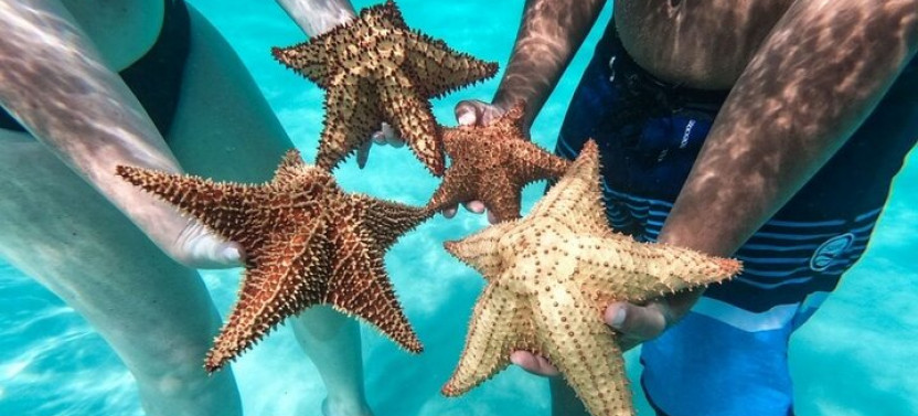 Saona Island Day Tour