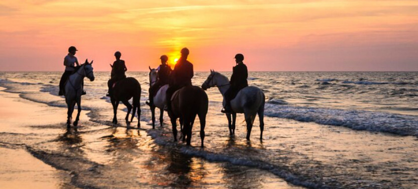 Horseback Riding Experience in Punta Cana