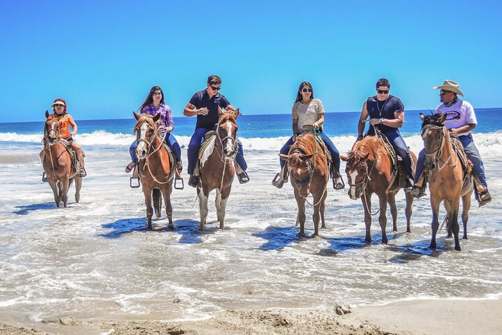 Horseback Riding Experience in Punta Cana