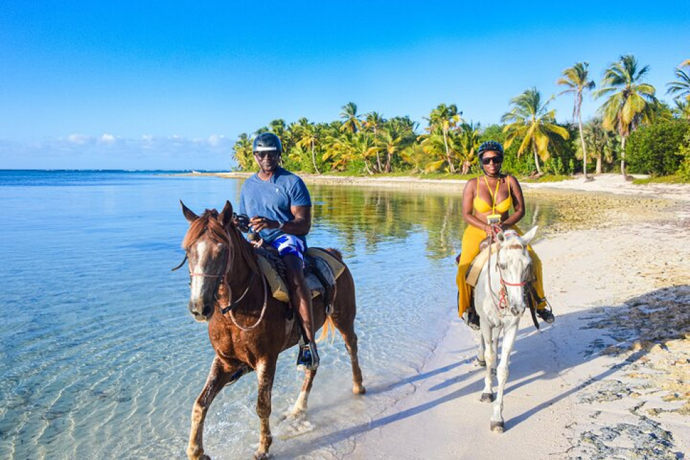 Horseback Riding Experience in Punta Cana Punta Cana Project Expedition