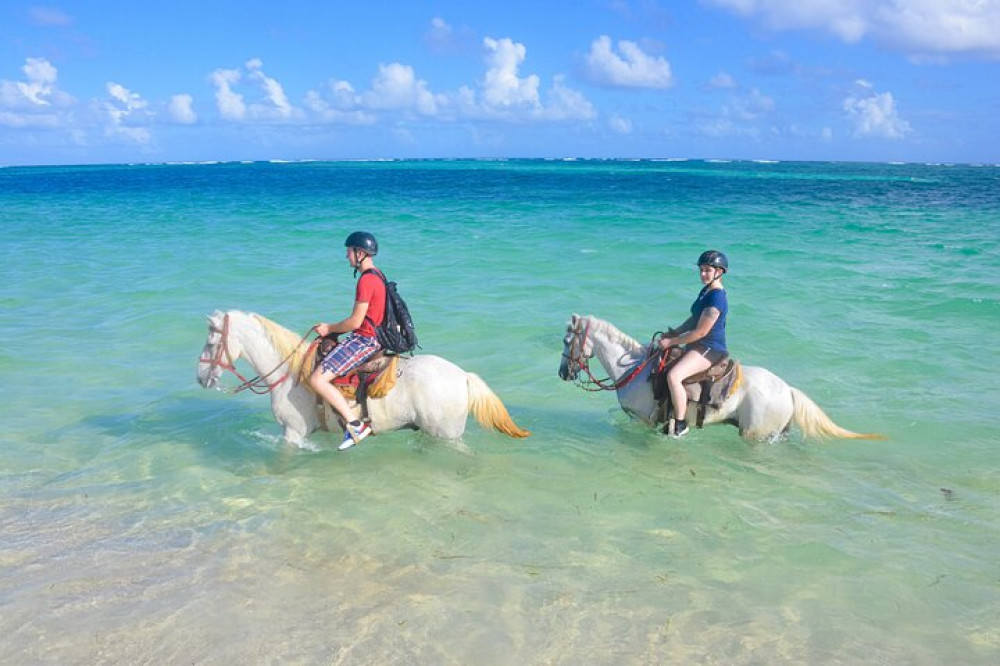 Breathtaking Horseback Riding Dominican Republic Punta Cana Scene Collection Breathtaking Horseback Riding Dominican Republic Punta Cana Scene Collection
