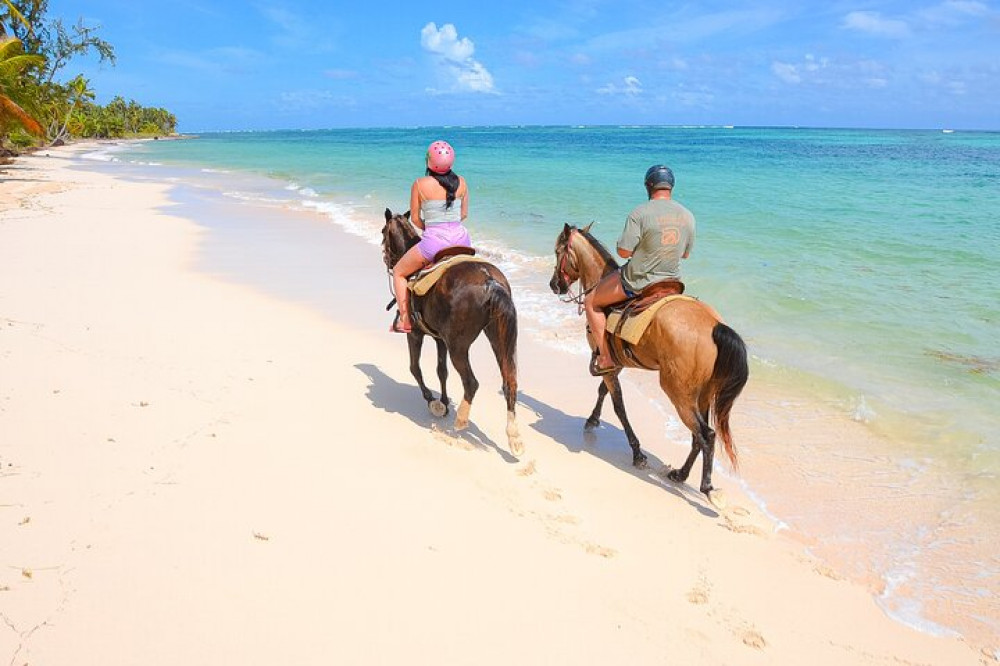 Vivid Horseback Riding Dominican Republic Punta Cana Background for Mobile Vivid Horseback Riding Dominican Republic Punta Cana Background for Mobile