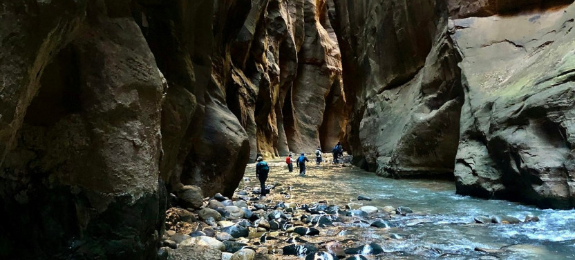 Small-Group Full-Day Hiking Adventure in Zion National Park