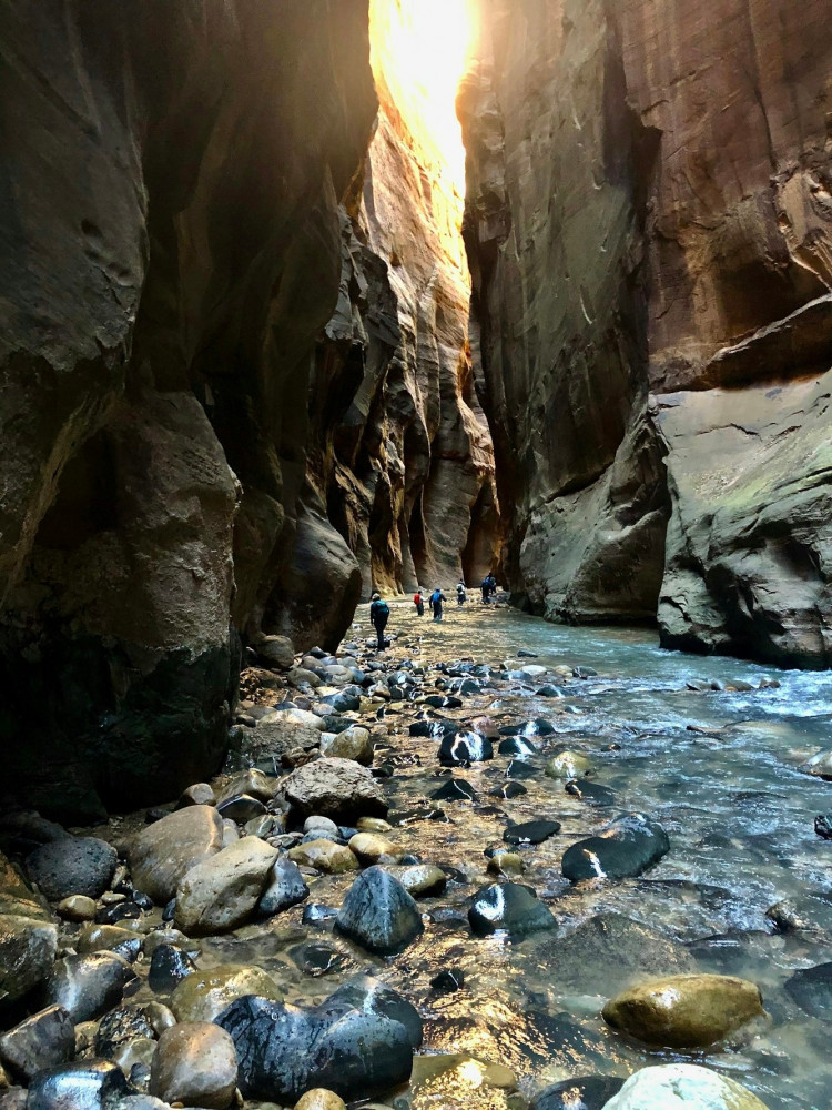 Small-Group Full-Day Hiking Adventure in Zion National Park