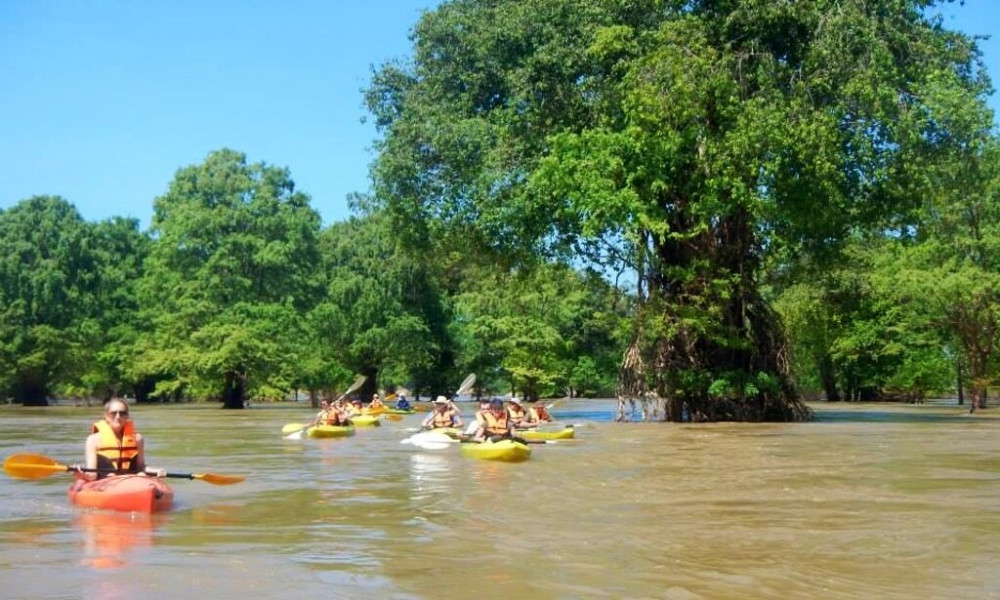 3 Day Kratie Adventure from Phnom Penh with Irrawaddy Dolphin Kayaking