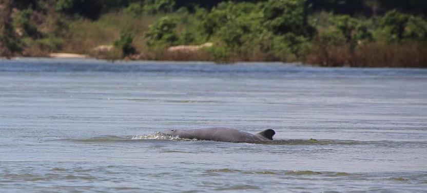 3 Day Kratie Adventure from Phnom Penh with Irrawaddy Dolphin Kayaking