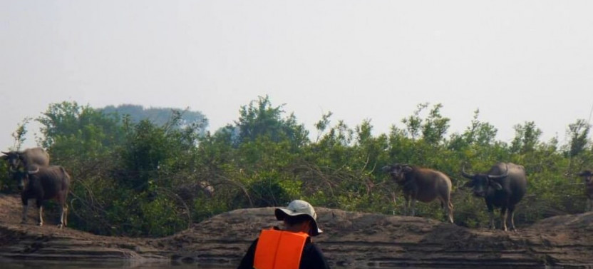 3 Day Kratie Adventure from Phnom Penh with Irrawaddy Dolphin Kayaking