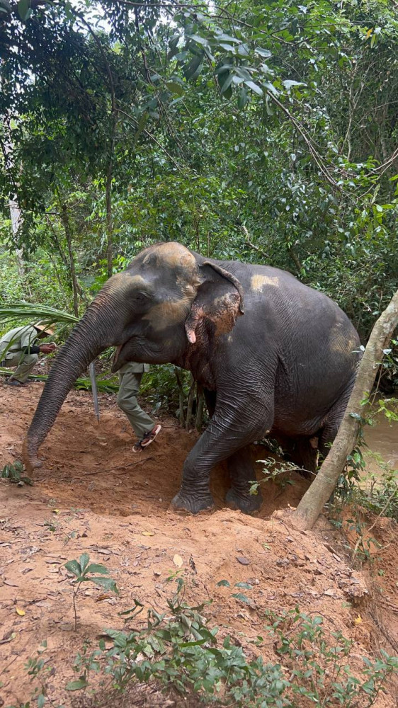 Adventure Travel Co.