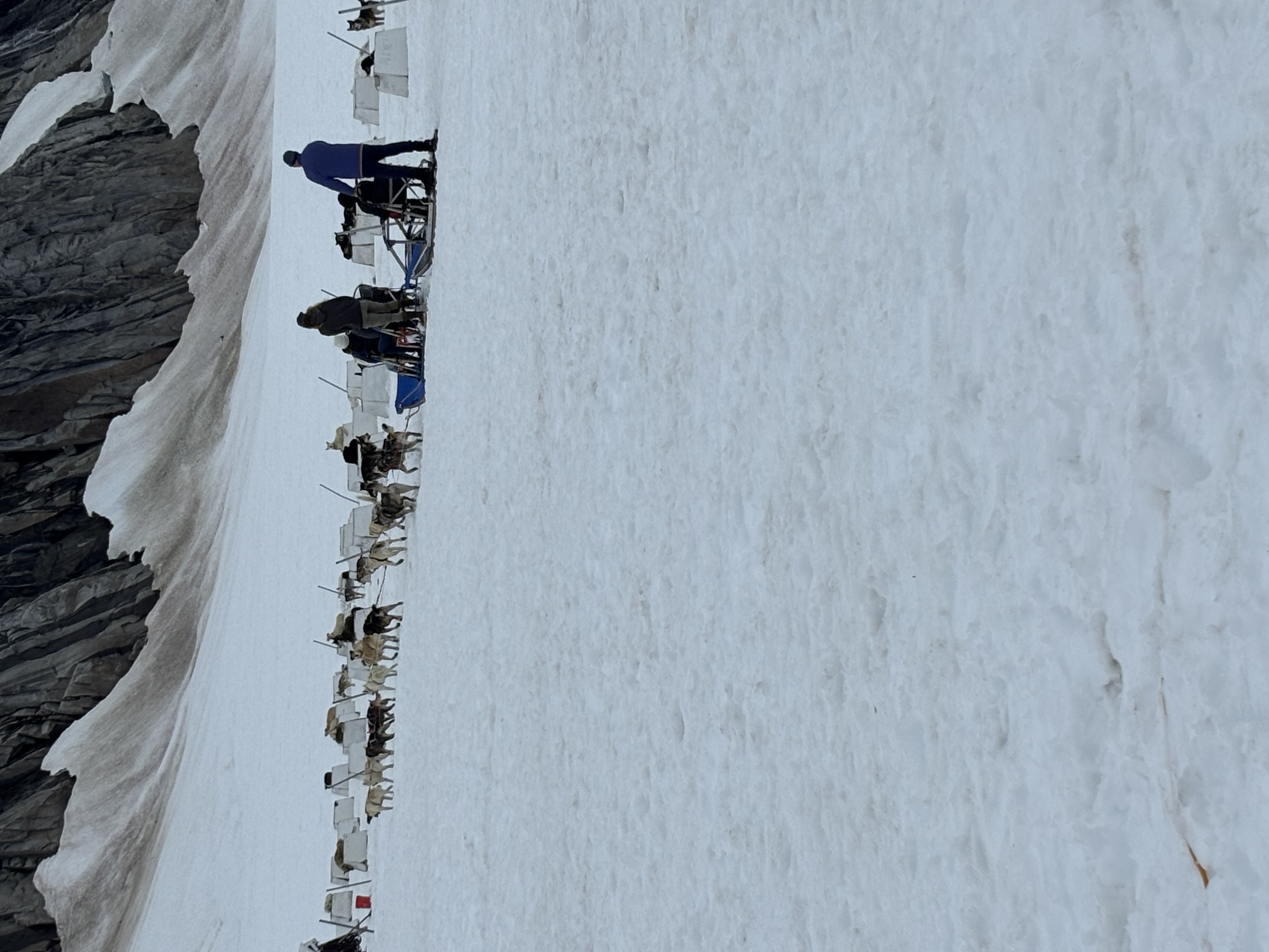 Dogsledding Helicopter with Glacier Landing Shore Excursion