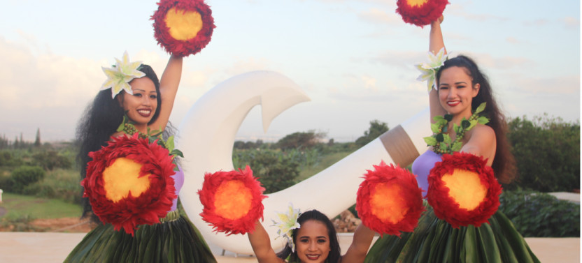 Ali’i Premium Package: Show Only