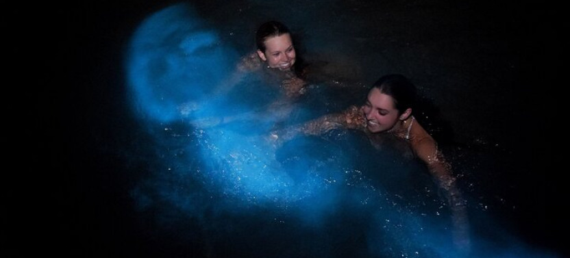 Luminous Lagoon Night Tour from Montego Bay